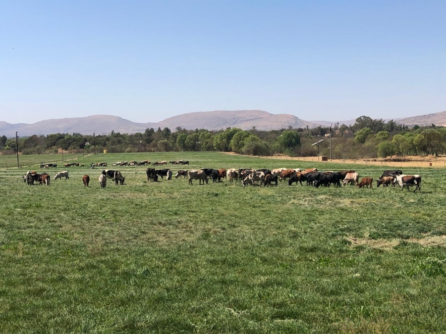 6 Bedroom Property for Sale in Remhoogte AH North West